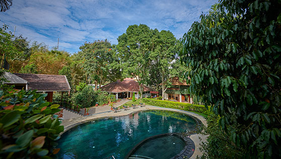 View of the pool on a sunny day at Thekkady resort India